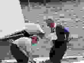 CIMG0274