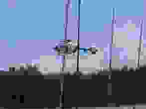 CIMG1143